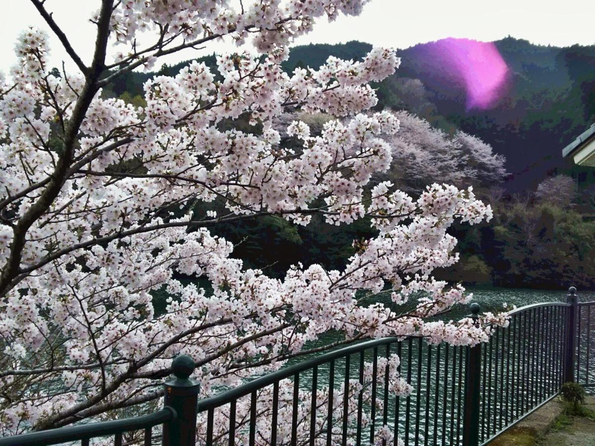 Отель Momijigawa Onsen Naka Экстерьер фото